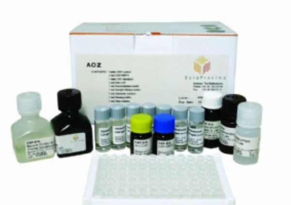 人基质金属蛋白酶1(MMP-1)ELISA试剂盒