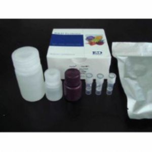大鼠抑制素A(INH-A)ELISA试剂盒