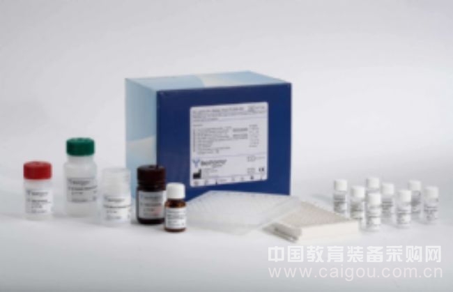 Ank-B ELISA