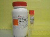 待测人肺癌标志物DR-70(DR-70TM)ELISA试剂盒价格