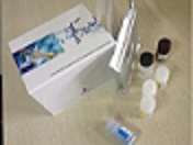 待测大鼠β淀粉样蛋白1-40(Aβ1-40)ELISA试剂盒价格