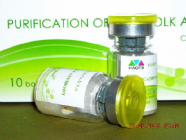 HRP标记小鼠抗猴IgG
