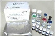 待测大鼠半胱氨酸蛋白酶抑制剂/胱抑素C(Cys-C)ELISA试剂盒价格