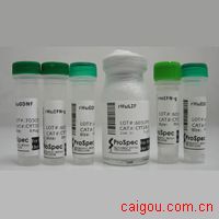 DEAE葡聚糖凝胶A-25