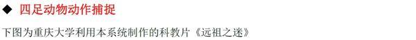 光学运动捕捉的系统功能