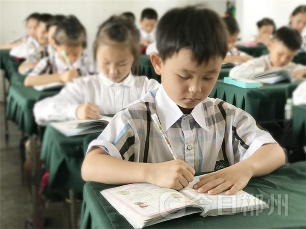 郴州中小学作业改革 一二年级不留书面家庭作业