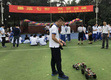 走入成都七中:如何以学校活动激发学生学习兴趣?