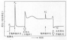 叶绿素荧光动力学曲线和快速叶绿素的异同