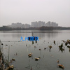 浮標水質站/水質自動監測系統/浮島水質監測站