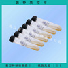 BNCC122323 白耙齒菌（斜面） 微生物菌種/菌種質控樣/標準菌株/質控菌株