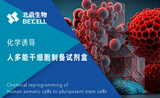 BeiCell （北启生物）人化学重编程诱导多潜能干细胞试剂盒