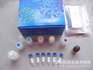 琼脂糖凝胶电泳试剂盒（DNA Marker）