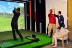 GOLFZON NS型室内模拟高尔夫