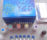预染蛋白分子量Marker（8-180kd 15－130KD）蛋白Marker