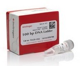 美国ABI 100 bp DNA Ladder  15628050产品促销