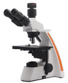 供应微域光学生物显微镜WSB1200