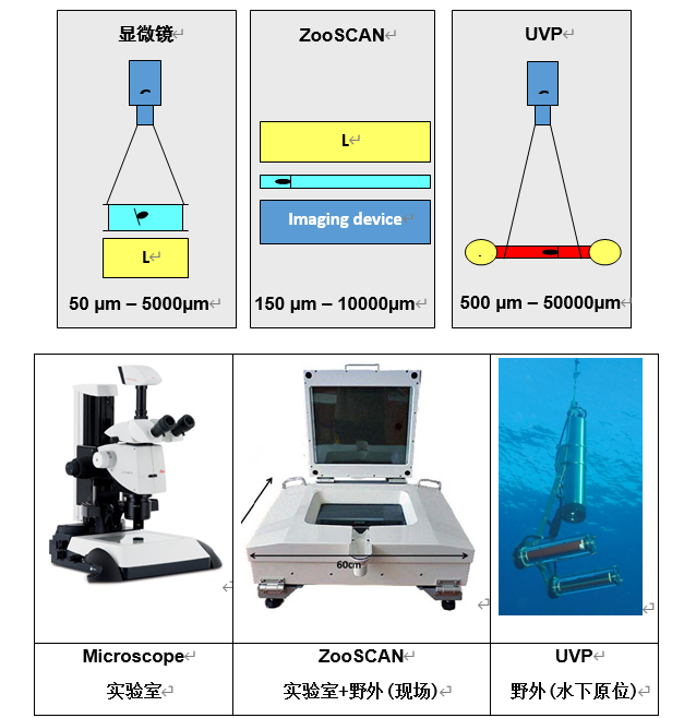 ZooSCAN浮游动物图像扫描分析系统