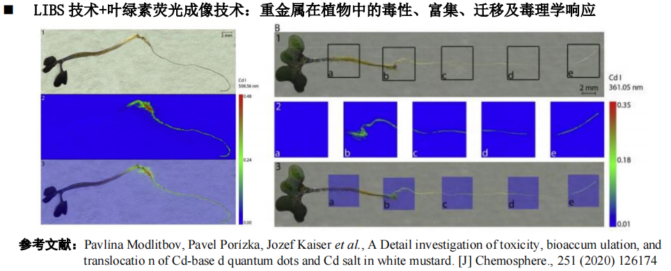 FireFly LIBS 元素分析系统在长江科学院正式运行
