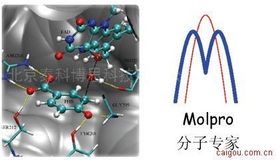 Molpro —分子專家