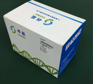 病毒DNA提取试剂盒（磁珠法）