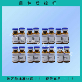 BNCC352051 铜绿假单胞菌 微生物菌种/标准菌株/质控菌株/菌种标准物质