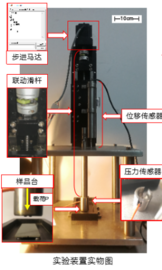 双扭实验装置