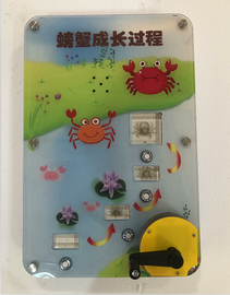 幼儿智慧科普产品_ 壁挂式科普馆建设_师大教育壁挂展品_小蝎子成长记