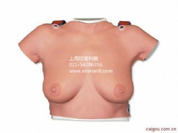 着装式乳房自检模型