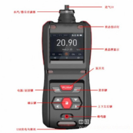 高分辨率泵吸式笑气分析仪|手持式笑气检测仪TD500-SH-N2O