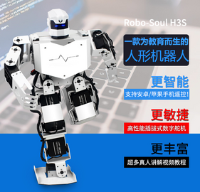 DICE-waH3S人形机器人介绍