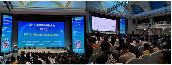 2019分子植物育种大会胜利召开