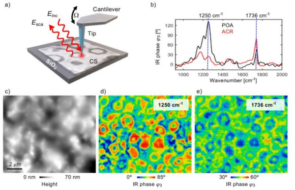 应用专题丨纳米分辨傅里叶红外光谱与成像技术（nano-FTIR & neaSNOM）助力复合聚合物领域实现新突破