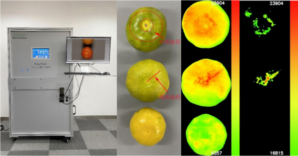 FluorTron?多功能高光谱成像分析技术应用于食品品质检测