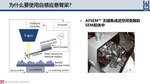 扫描电镜专用原位AFM探测系统AFSEM™