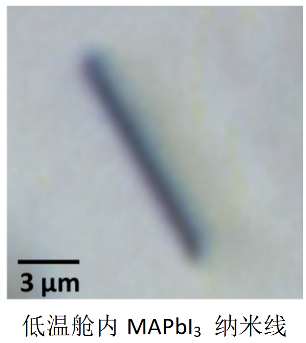 鈣鈦礦載流子熒光壽命成像|光電流成像
