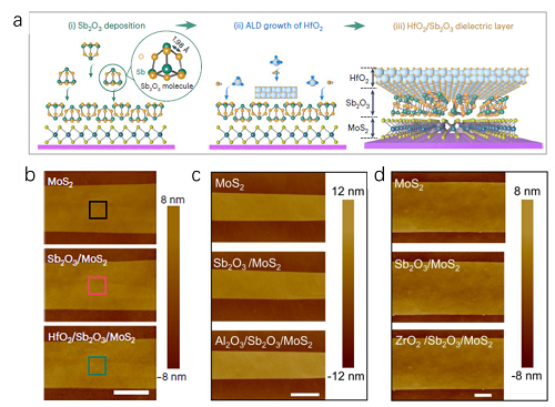 台式ALD，Nat. Mater.！二维晶体管介电层集成研究取得重要进展