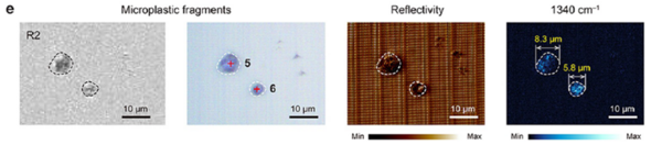 每月可释放1.55万亿微塑料！亚微米红外拉曼同步测量系统，助力东南大学新成果