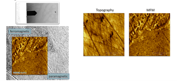 AFM/SEM二合一显微镜全新功能，如何打破可视化磁性表征困境？