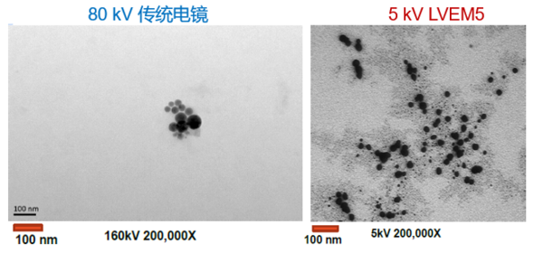 低電壓、無負染，LNP成像新突破——生物型透射電鏡LVEM