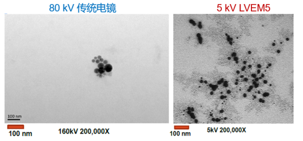 低电压、无负染，LNP成像新突破——生物型透射电镜LVEM