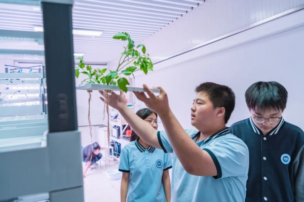 南京装备探索AI新场景 国产开源主控点亮中小学课堂