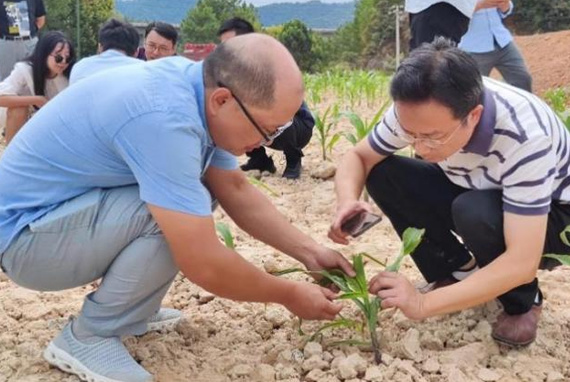 景德鎮學院楊波博士助力景德鎮地區農業外來入侵物種普查工作