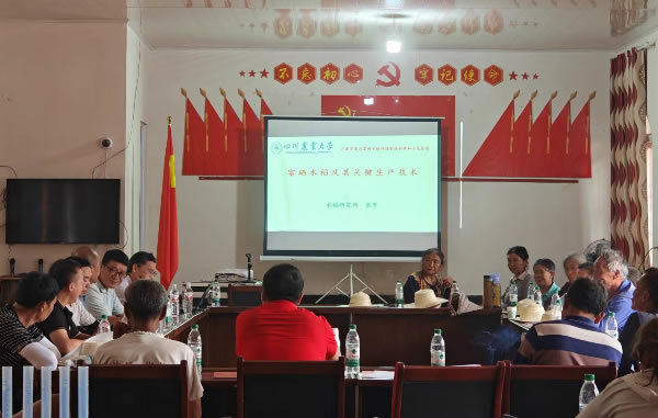 【興農先鋒】“硒”旺有我，四川農業大學助推達州富硒水稻產業發展