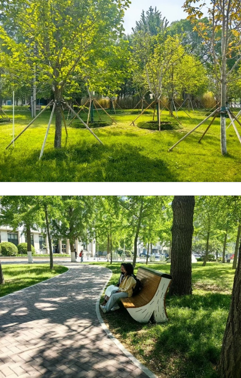 大連理工大學：修齊路（海涵樓段）沿線景觀煥新顏