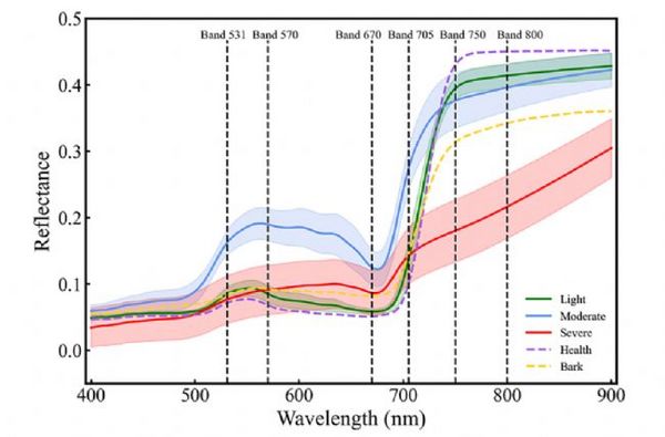 FieldSpec 4地物光谱仪评估森林病虫害的应用