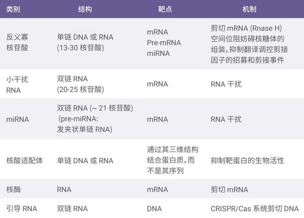 RNA 治疗---小核酸药物有哪些？| MedChemExpress