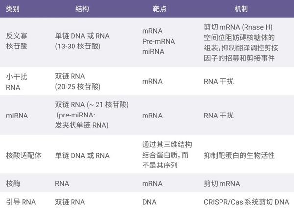 RNA 治療---小核酸藥物有哪些？| MedChemExpress