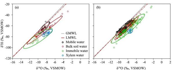 土壤水与植物茎木质部水的同位素偏差研究