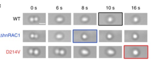 Dynamic Single-molecule Meeting 届动态单分子领域盛会在津圆满完成