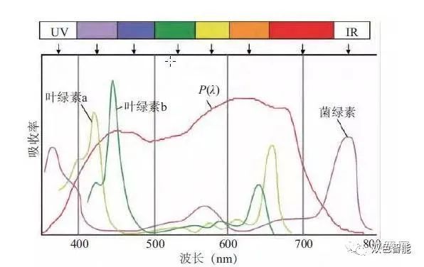 植物光照及测试系统方案